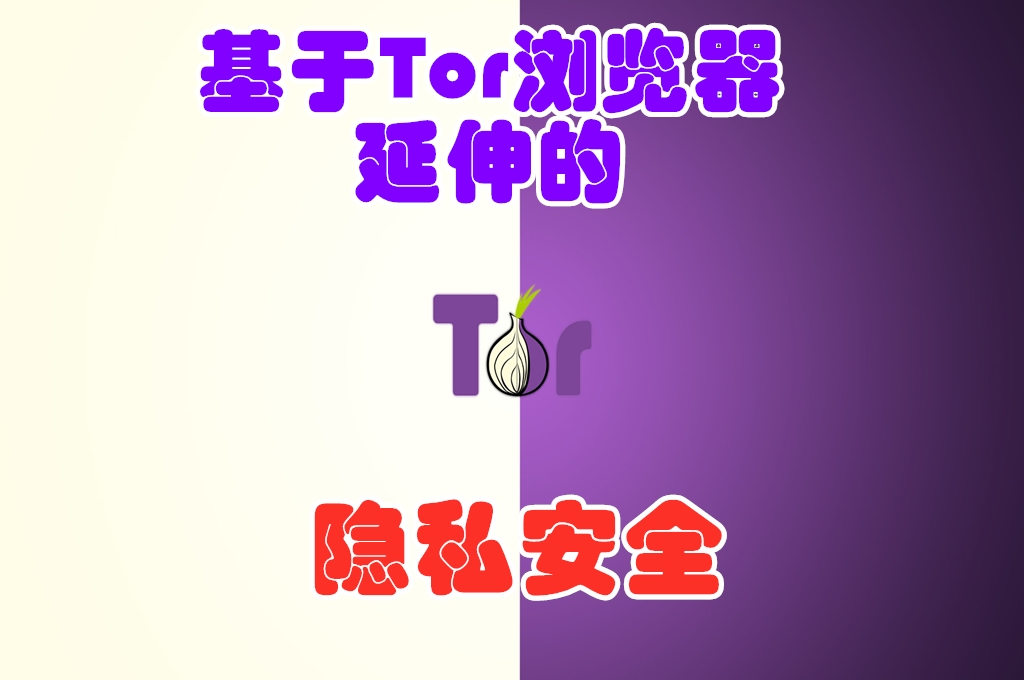 基于Tor延伸的隐私安全